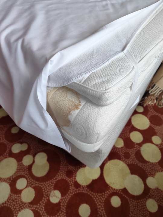 Zimmer Hotel Rodan Groklin