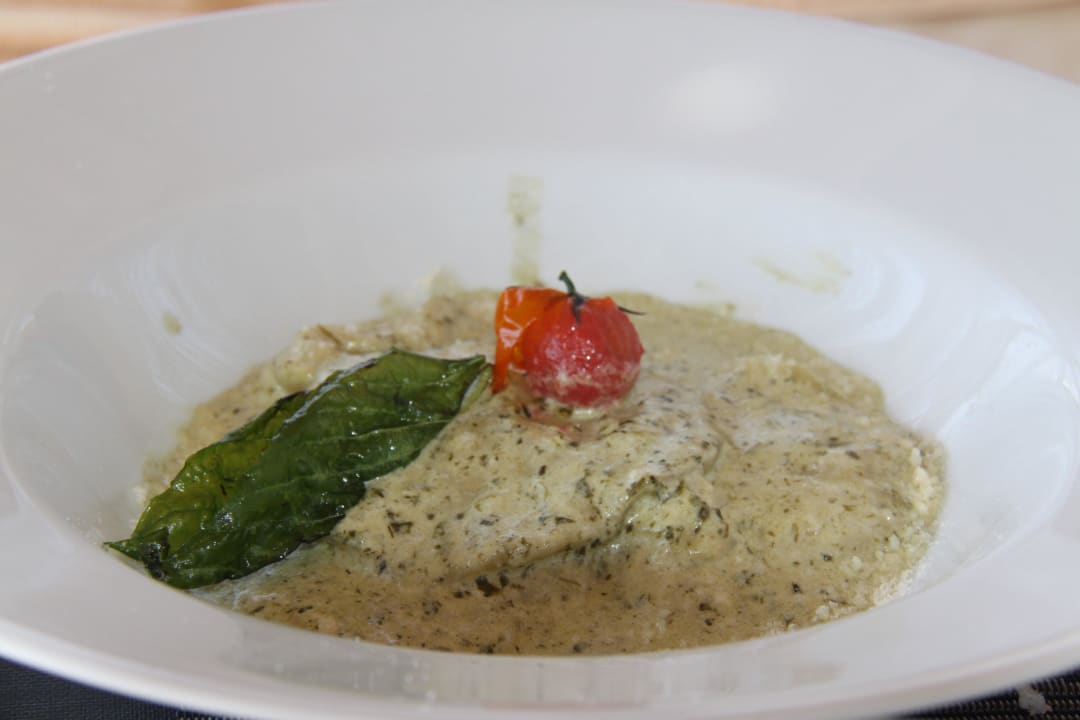 Lecker PALOMA Perissia