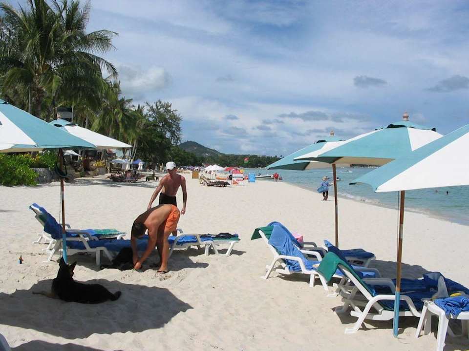Strand Banana Fan Sea Resort