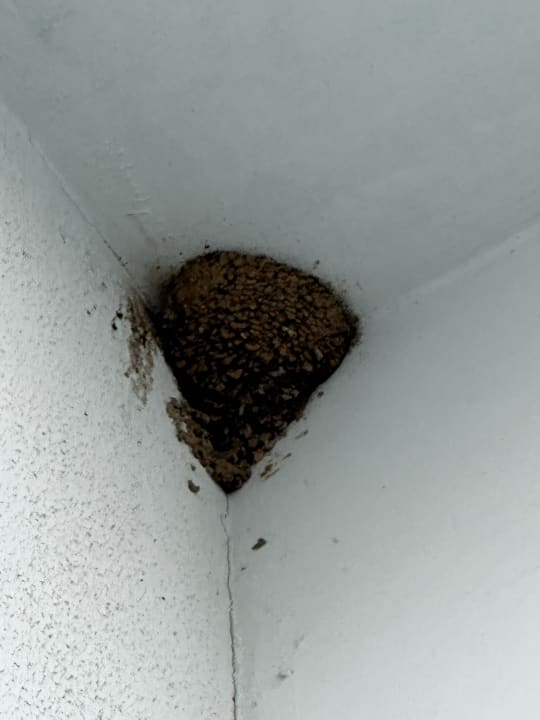 Zimmer Vikingen Infinity Resort & Spa