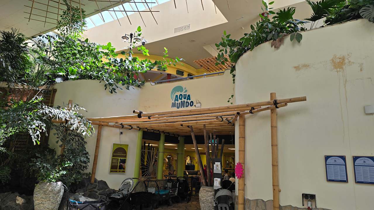 Pool Center Parcs Park Hochsauerland