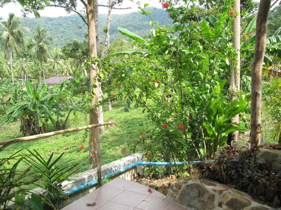 Terrasse Rock Inn Bailan