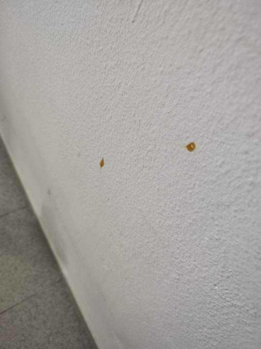 Zimmer Hotel Vibra Riviera