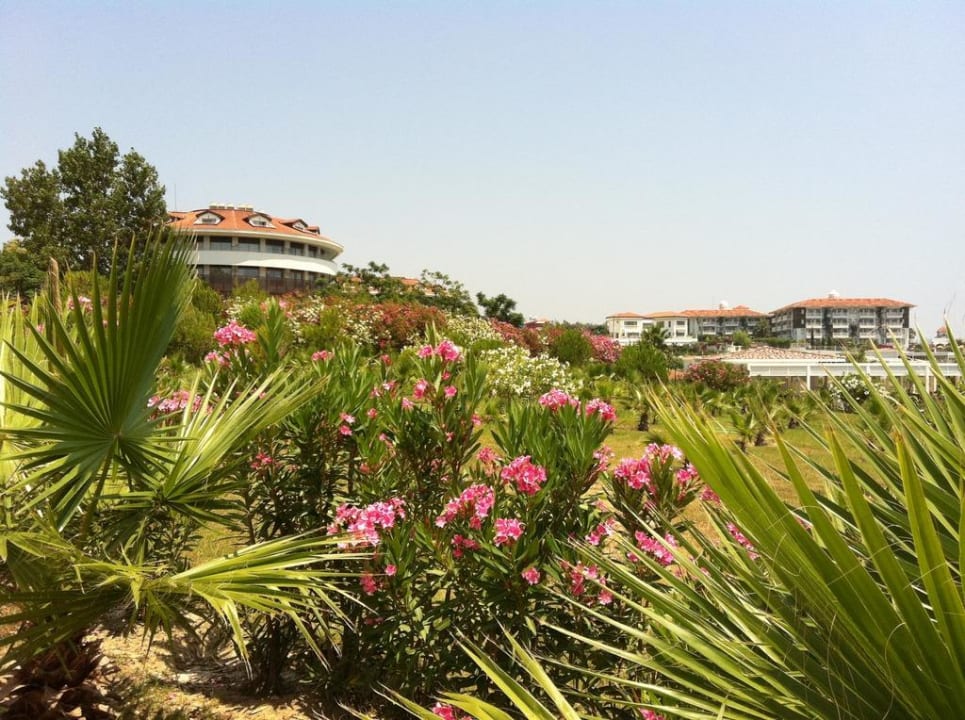 Garten Alba Resort Hotel