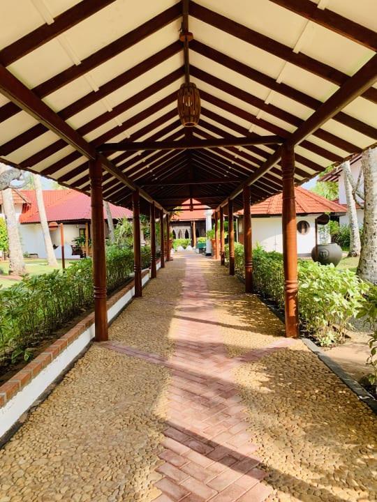 Gartenanlage Dickwella Resort & Spa