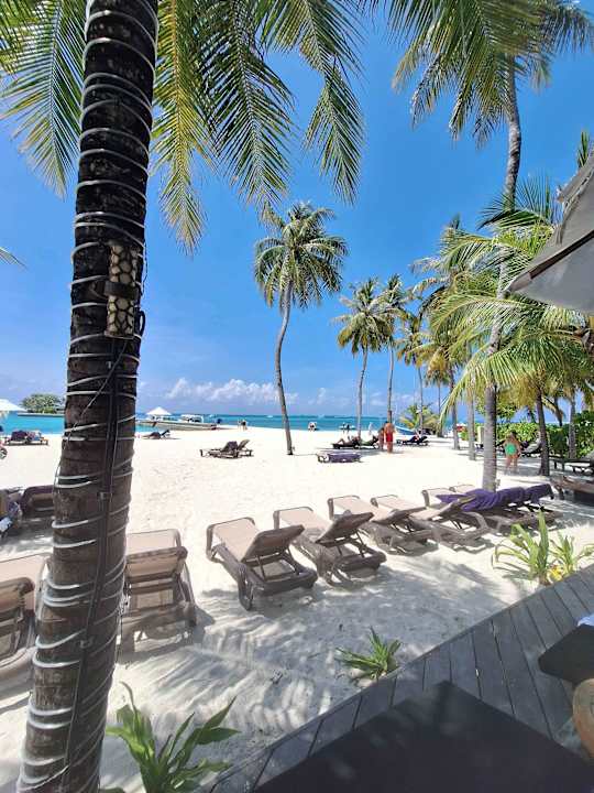 Pool Kuredu Island Resort & Spa