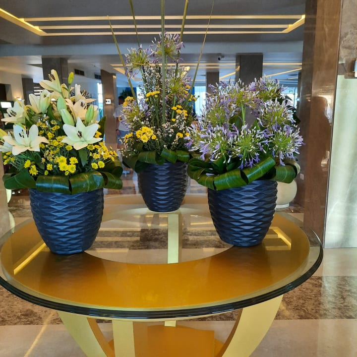 Lobby Pickalbatros Aqua Blu Resort - Sharm El Sheikh