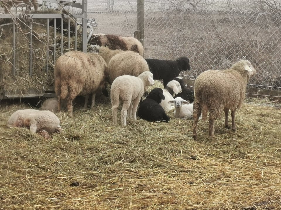 Sport & Freizeit Hotel Reiters Supreme