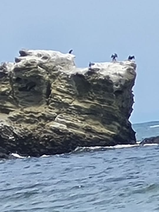 Strand TUI Suneo Serenity Bay