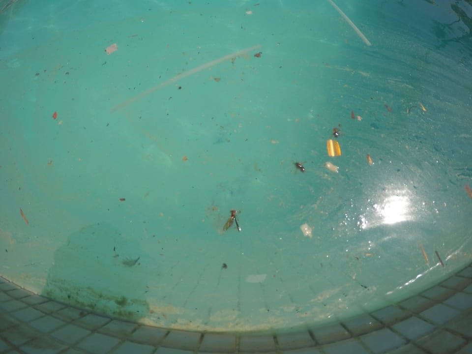 Asco Grand Palladium Punta Cana Resort & Spa