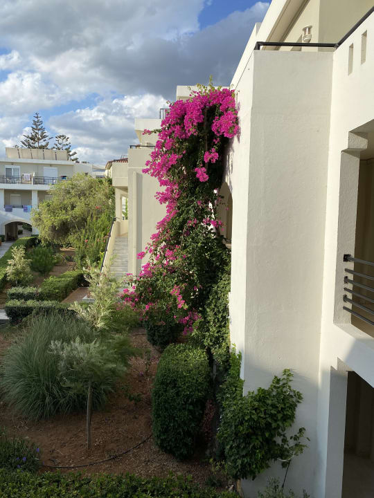 Gartenanlage Vantaris Luxury Beach Resort