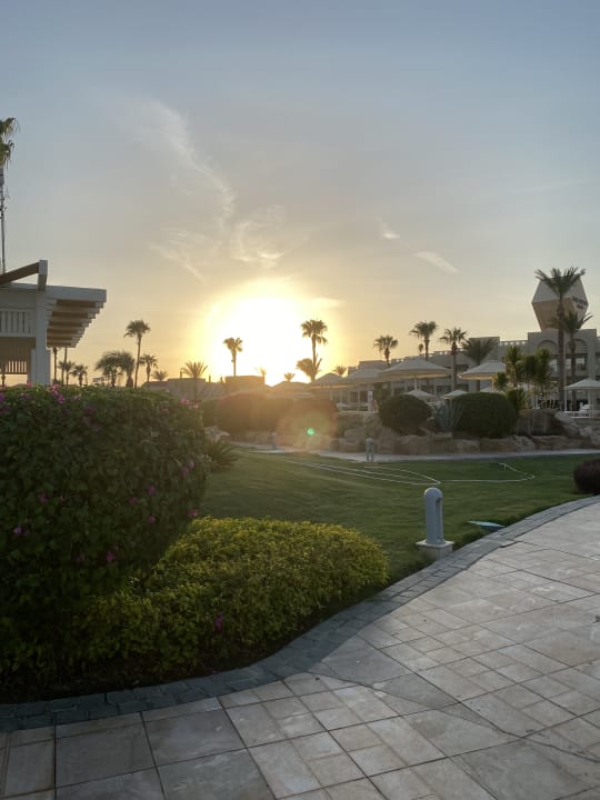 Gartenanlage Beach Albatros Resort