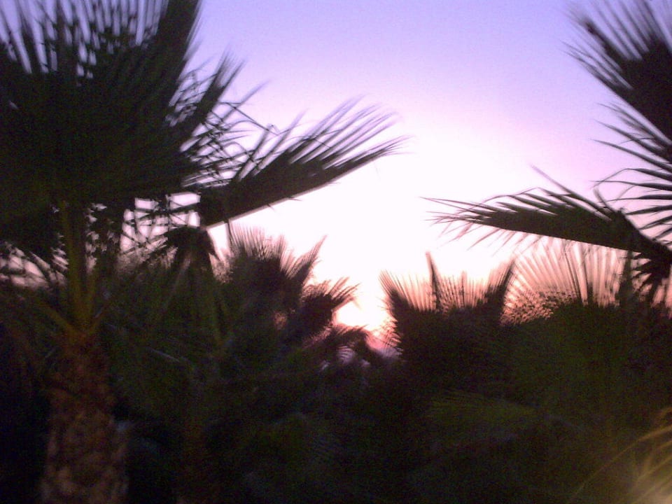 Sonnenuntergang Club Grand Side