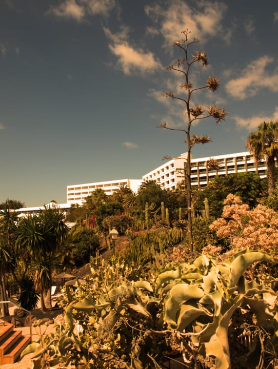 Stachlig INNSiDE by Melia Fuerteventura - Adults Only