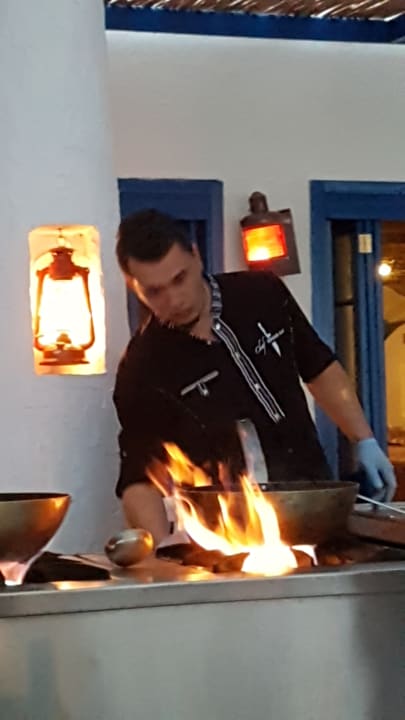 Sonstiges Paloma Pasha