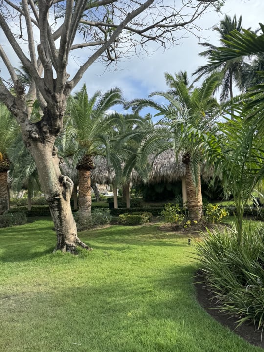 Gartenanlage Grand Palladium Punta Cana Resort & Spa