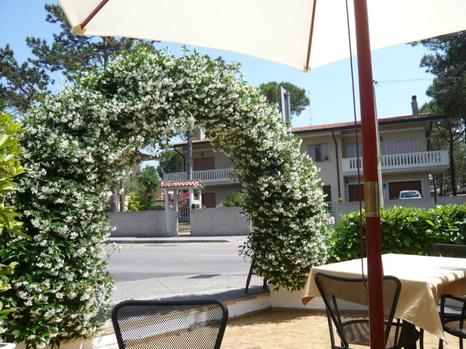 Terrasse Hotel Irene