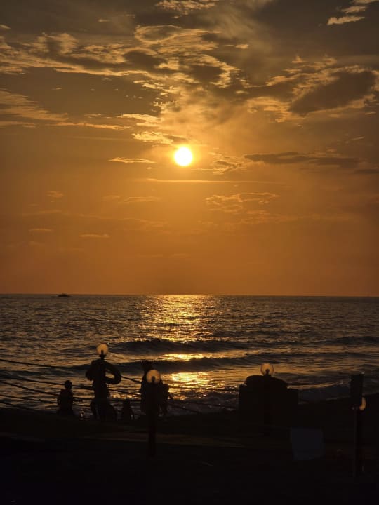 Strand Dizalya Palm Garden