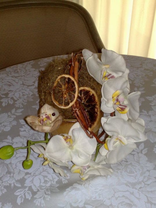 Particolare Hotel Relais Cascina Scottina