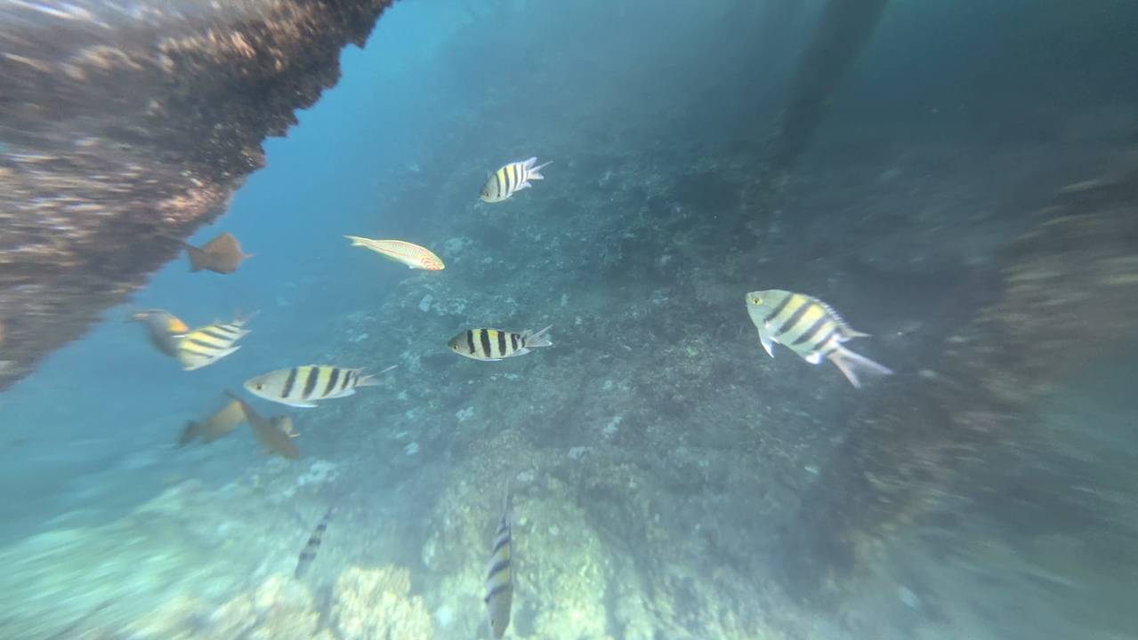 Strand Three Corners Happy Life Beach Resort