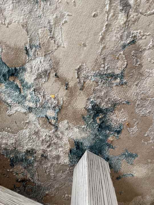 Zimmer Mövenpick Waterpark Resort & Spa Soma Bay