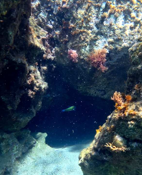 Strand Porto Bello Beach