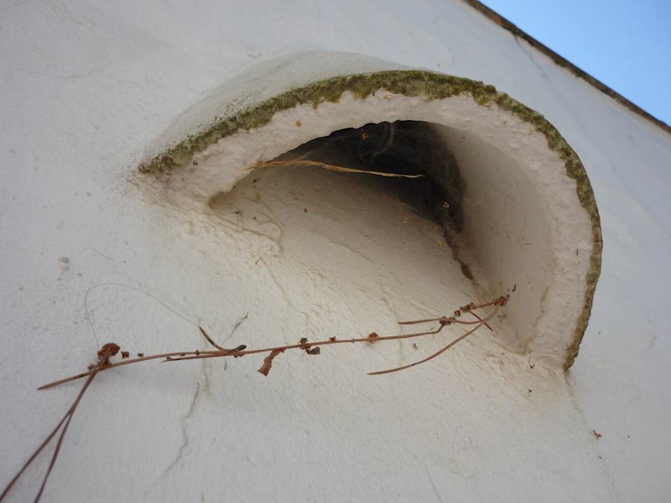 Und das mehrfach! Hotel Pinoverde del Golf