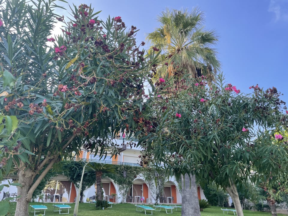 Gartenanlage Aldiana Club Rocca Nettuno Calabria