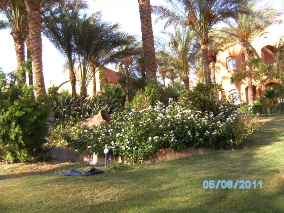 Garten Jaz Makadi Oasis Resort