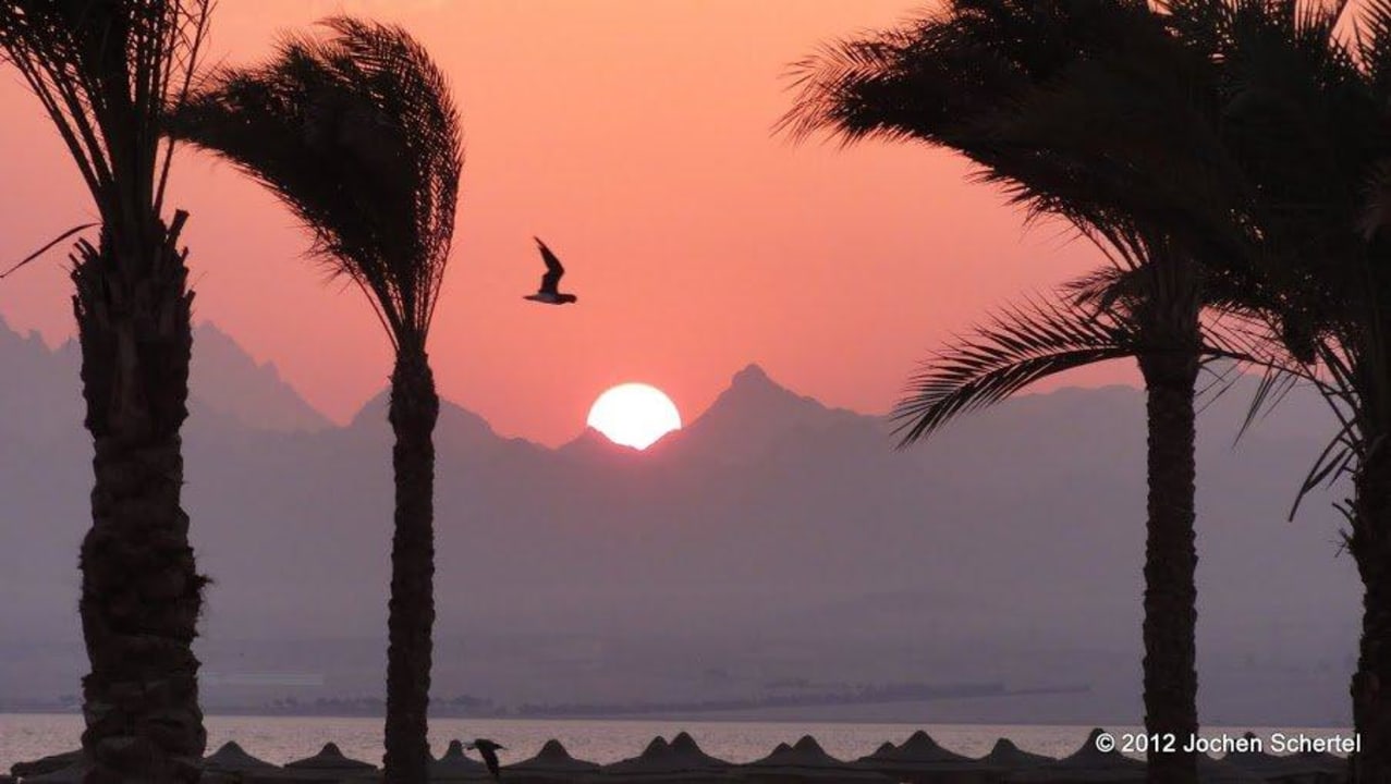 Sonnenuntergang  ROBINSON SOMA BAY