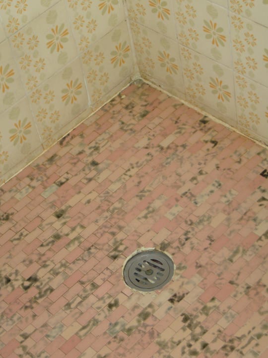 Zimmer Hotel Stella Alpina