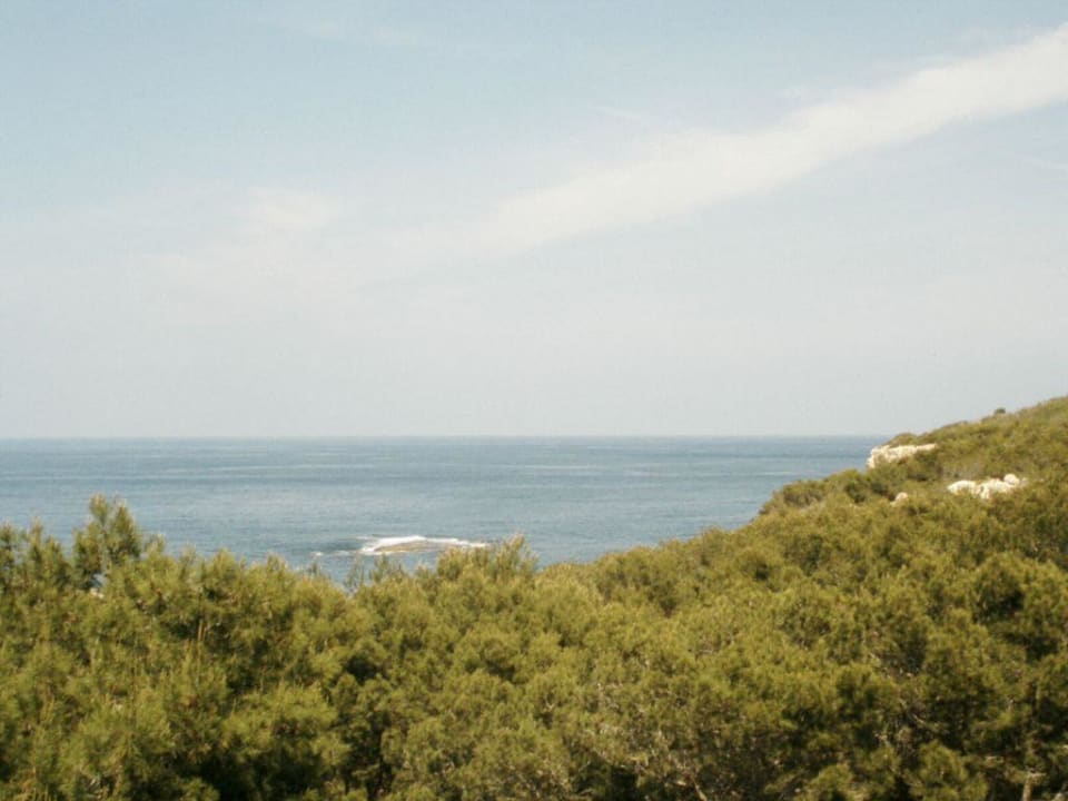 landschaft Barceló Portinatx - Adults only