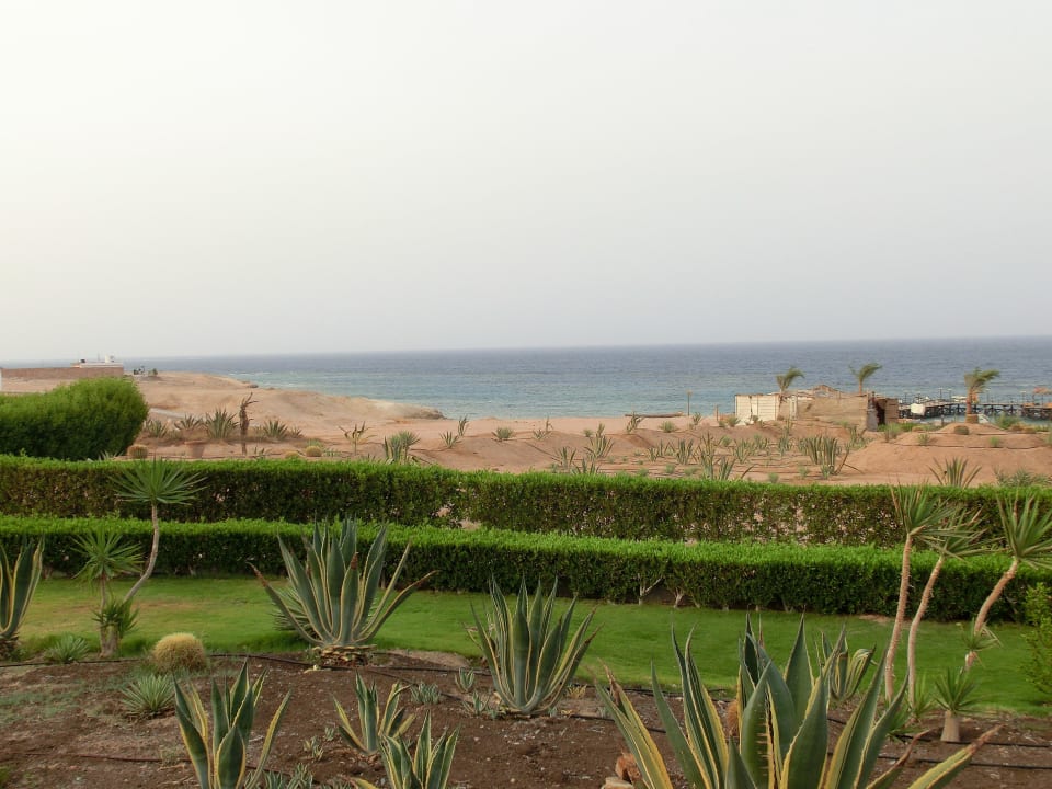 Meerblick von Poolbar aus Fantazia Resort Marsa Alam