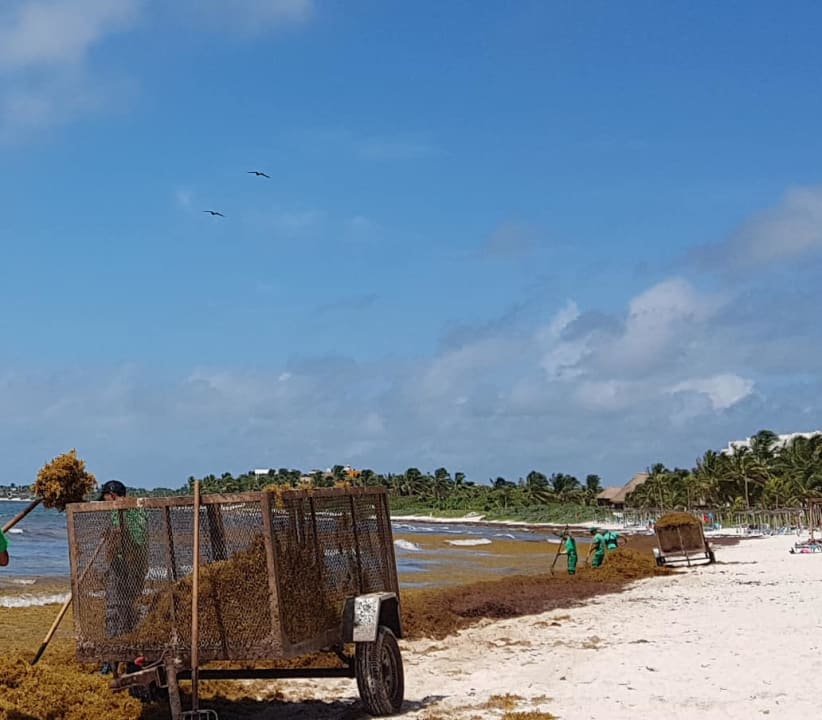 Strand Akumal Bay Beach & Wellness Resort