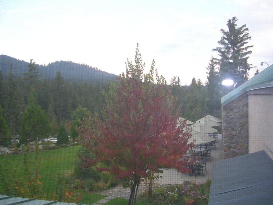 Vista dalla camera Hotel Tenaya Lodge at Yosemite