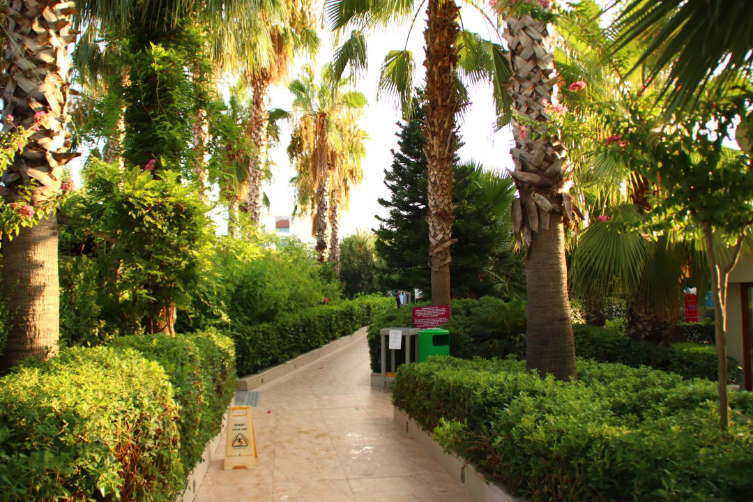 Gartenanlage Hane Family Resort