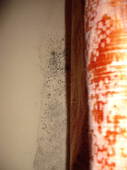 Schimmel an der Wand Bei Juan Playa Blanca