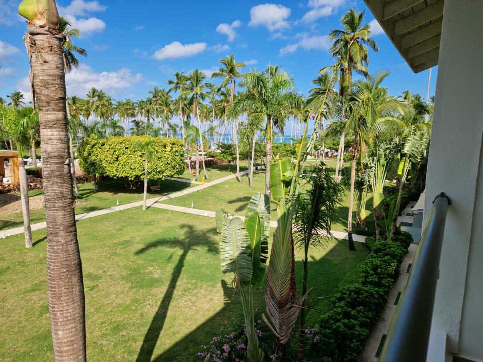 Gartenanlage Viva Wyndham Samaná