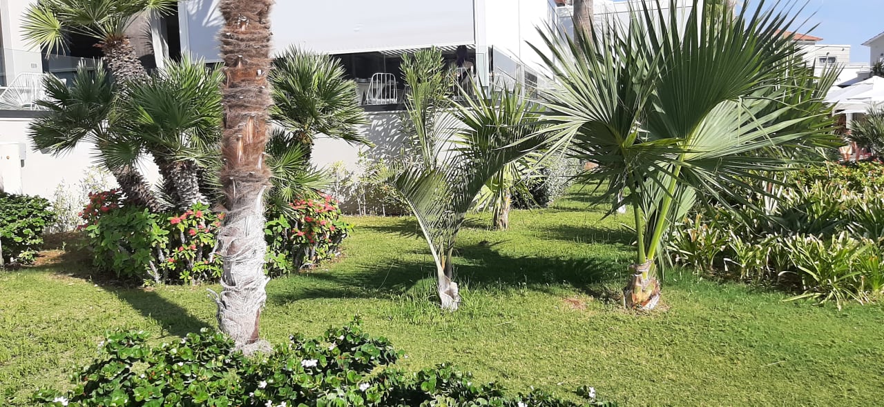 Außenansicht Mitsis Rodos Village