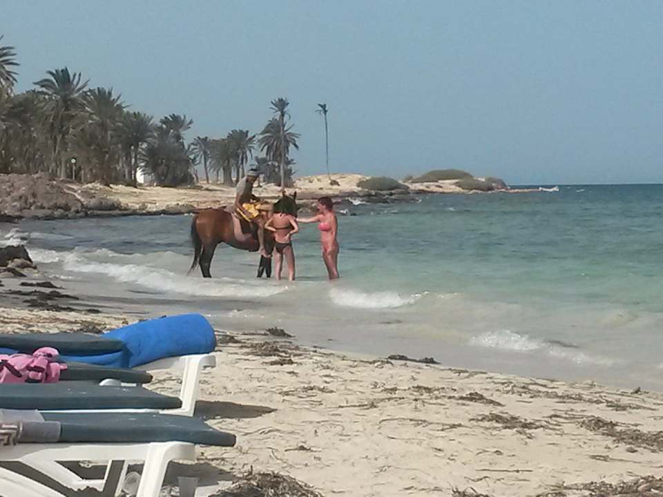 Haustiere Hotel El Mouradi Djerba Menzel