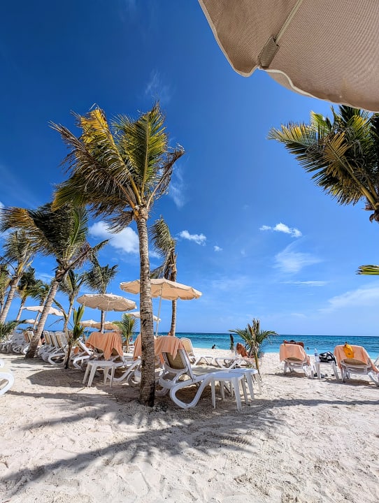 Strand Hotel Riu Palace Aquarelle