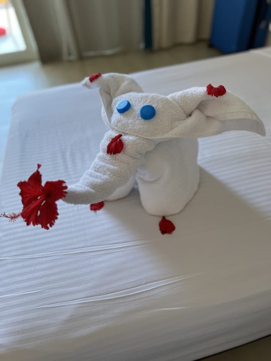 Zimmer Utopia Beach Club