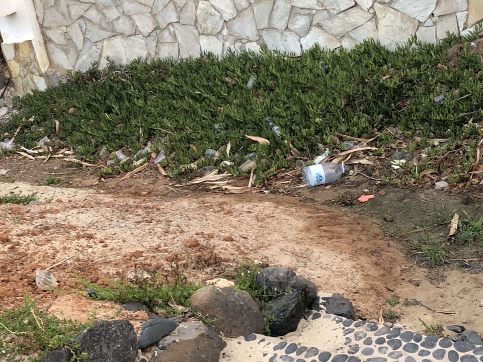 Gartenanlage SBH Fuerteventura Playa