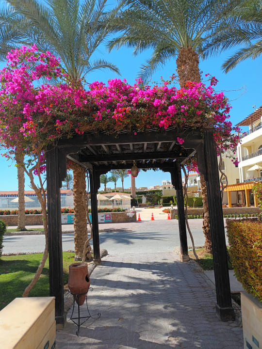 Gartenanlage Pyramisa Beach Resort Sahl Hasheesh
