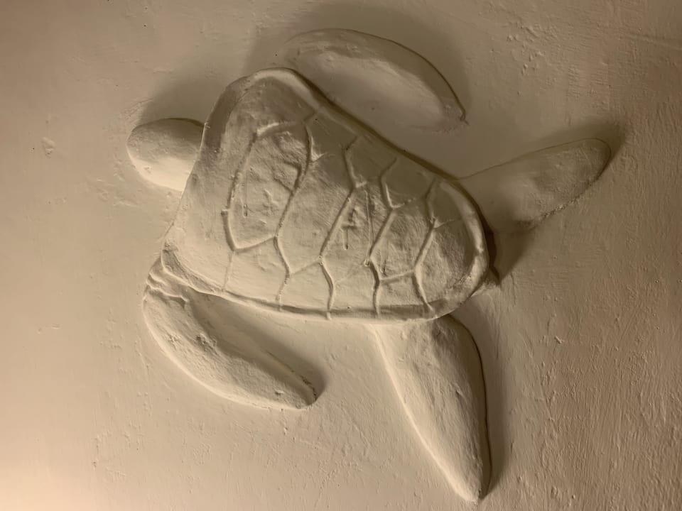 Zimmer Turtle Bay Beach Club