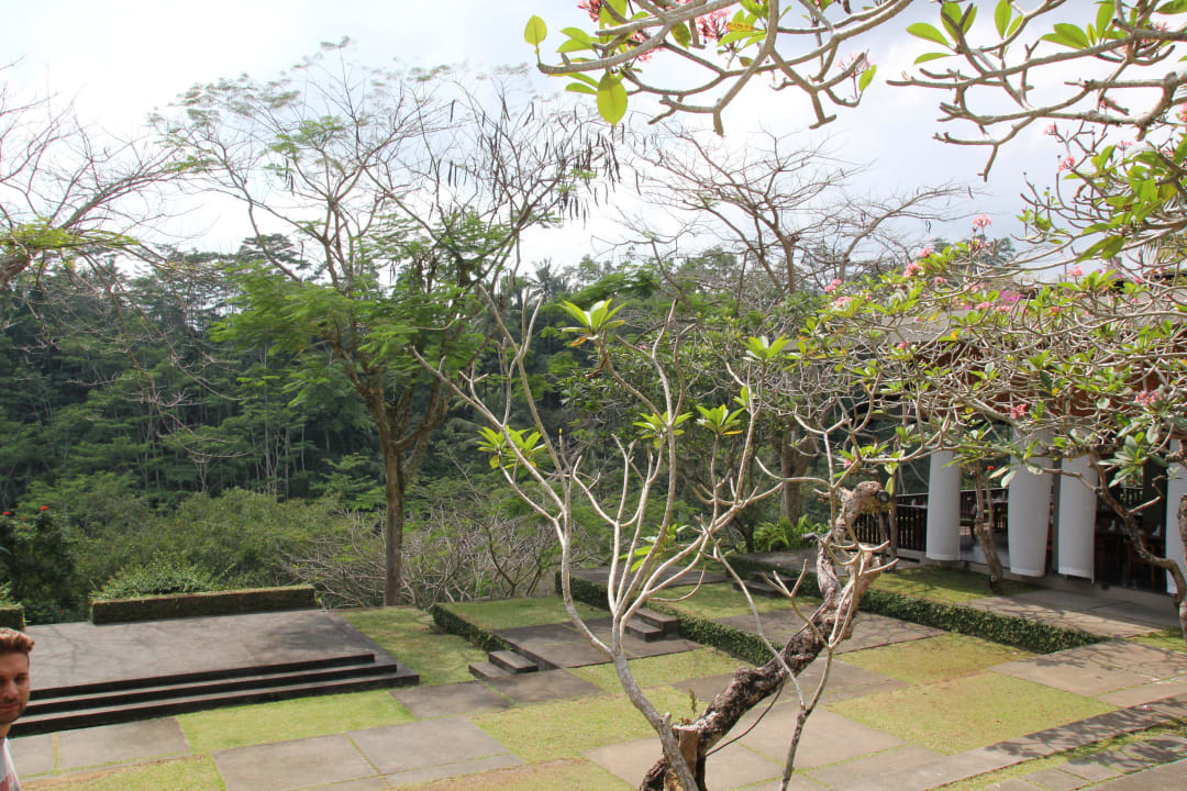 ...aus dem Frühstücksraum Maya Ubud Resort & Spa Bali