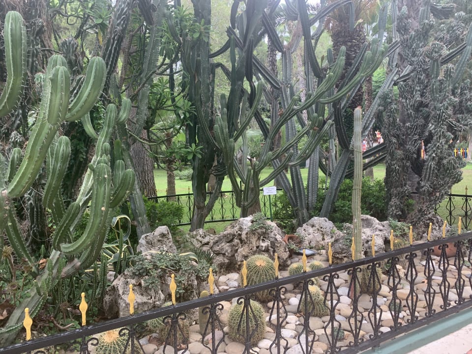 Gartenanlage Hotel Botanik Platinum