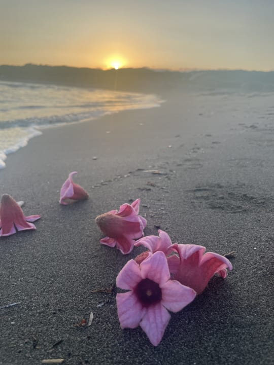 Strand ROBINSON CYPRUS