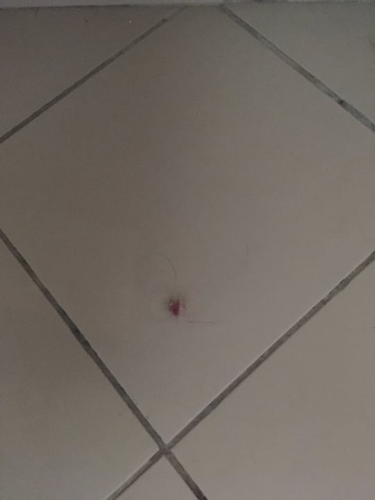 Zimmer Skanes Serail Aquapark