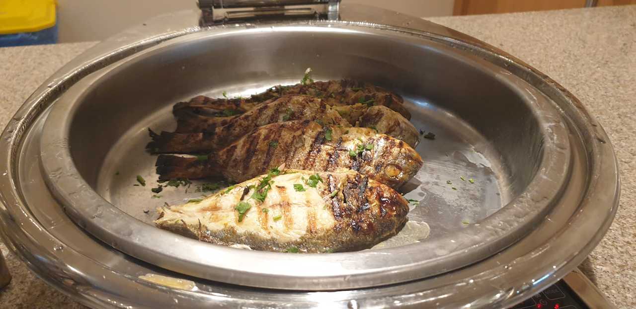 Gastro JAZ Elite Asteria